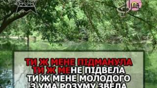 ТИ Ж МЕНЕ ПІДМАНУЛА — караоке Українська народна пісня Ukrainian folk song karaoke