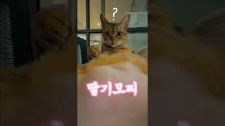 촉촉하고 말랑한