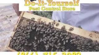 Do-It-Yourself Pest Control Store, Marietta, GA
