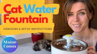 Maine Coon Water Fountain: Unboxing And Setup