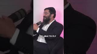 THIS is how to transform bad into good | Rabbi Dovid Vigler