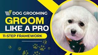 Dog Grooming-Guide for Beginners Instructional video
