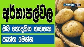 අර්තාපල් වල ඔබ නොදකින භයානක පැත්ත මෙන්න : Potatoes Facts and Benefits