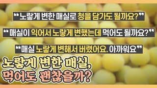 노랗게 변한 매실, 먹어도 괜찮을까? (ft. 좋은 매실 고르는 팁) MBN 210528 방송