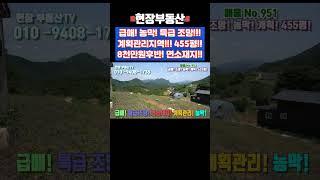 급매 면소재지 특급 조망 황토농막 계획관리지역 455평 #급매 #조망 #농막 #주말농장 #남한강 #계획관리지역 #사평리