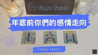 -Tinya Tarot-年底前你們的感情走向無時間限制