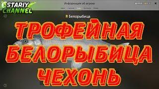 ⏪ ТРОФЕЙНАЯ БЕЛОРЫБИЦА и ЧЕХОНЬ ⏩ Russian Fishing 4 (РР4 , RF4)