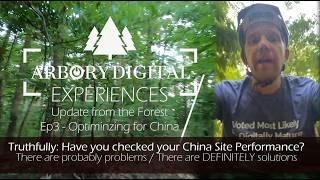 Your Web Performance in China - Reasons You SHOULD Care | Arbory Digital Update from the Forest