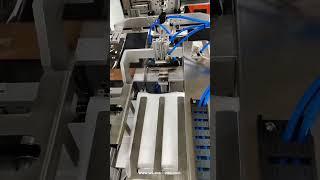 Automatic bulk bag side inserting into bag packaging machine