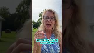 Let's start your Virtual Assistant business tomorrow. Join me.