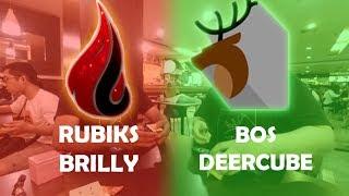 Rubiks Brilly VS Bos DeerCube