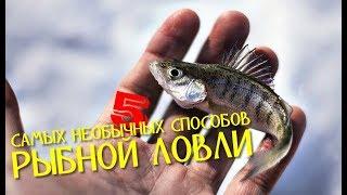 5 САМЫХ НЕОБЫЧНЫХ СПОСОБОВ РЫБНОЙ ЛОВЛИ