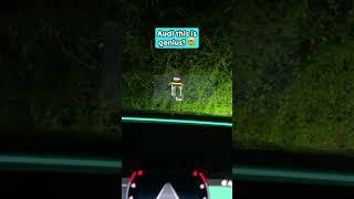Parking sensors in the HUD that tell you the exact distance you are away from something! 