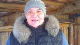 ЭКО ферма в Сибири