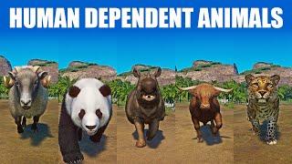 Human Dependent Animals Speed Race in Planet Zoo included Cattle, Panda, Rhino, Sheep