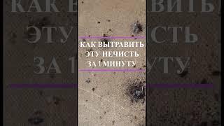 Как избавиться от клопов за 1 минуту