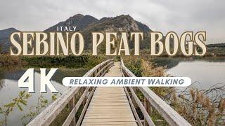 Relaxing Ambient Walking in Sebino Peat Bogs: Relaxing Nature Experience in Lombardy