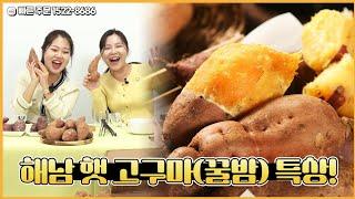 [133회 홈쇼핑] 미각기행 해남 햇 고구마(꿀밤) 특상/5kg / 고구마의 고장 전남 해남 재배, 사르르 녹는 달콤함,문의 1522-8686