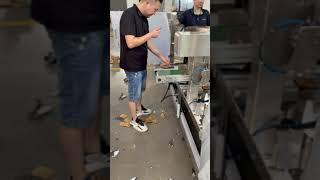 Automatic tea premade pouch packing machine