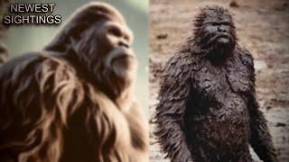 The Most Convincing Bigfoot Footage Ever Captured