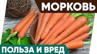 Морковь - Польза и Вред