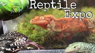 New England Reptile Expo 2021 [New Expo Pick Up?]