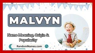 Malvyn - Baby Boy Name Meaning, Origin & Popularity - RandomNames.com