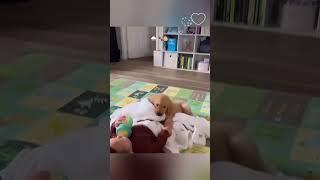 Funny stories about babies and animals #pet#cat#dog#cute#animalshorts #shortvideo #petschannel