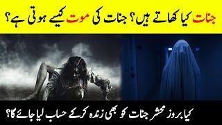 Do The Jinn Die? || What Do Jinn Eat? || Unbelievable Facts About Jinn || Ghost || INFO at ADIL