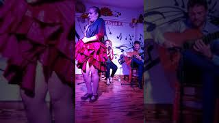 Tablao FLAMENCO la canastera Almeria