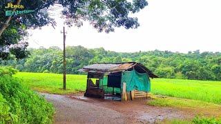 Kerala Countryside | Beautiful Village streets and Ponds