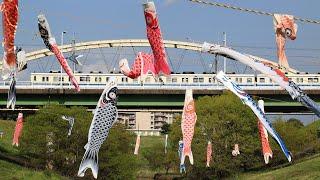 こいのぼりと東武アーバンパークライン　【東京新聞鉄道クラブ】