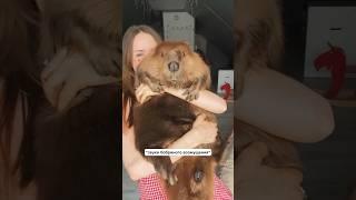 Как правильно носить мех бобра  бобер Рома живет вот тут - ​⁠@katyabobcat