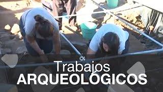 Se reinician los trabajos en el yacimiento arqueológico de Lobos I