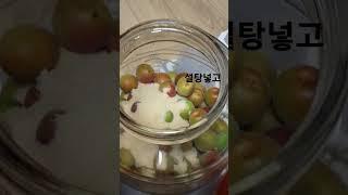 2023년 6월 20일 황매실청 담기#매실청#황매실청#koreanfood#plum