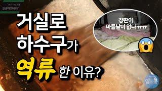 하수구 뚫음 집주인의 마음까지 뚫어드리고 왔네요   Why is my drain backing up?