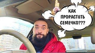 Обо всем за рулем #17 / Как прорастить семечко / Mr.GrowChannel