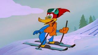 Snowy Ski Lessons | 1 Hour of Woody Woodpecker Full Episodes