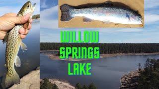 Willow Springs Lake Trout Fishing