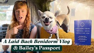 Van Life in Benidorm  Campsite, Pool Day & Bailey's New Passport