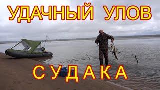 Удачный улов на озере Вселуг \ Попал на жор судака / Судак радовал поклевками