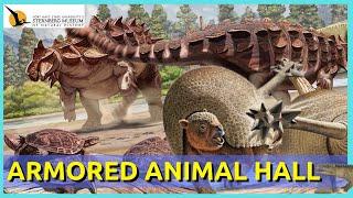 The Hall of Armor: A Masterpiece of Convergent Evolution ft. the Sternberg Museum of Natural History
