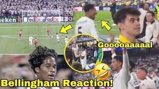 Watch Jude Bellingham Crazy Reaction to Endrick GoalBellingham & Rodrygo Reaction to Endrick Goal