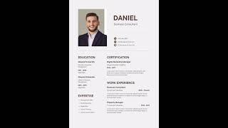Tan Modern Lines Business Consultant Resume