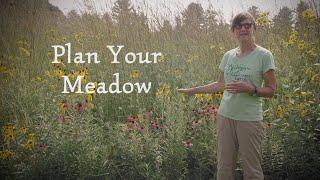 Planning Your Wildflower Meadow || Michigan Wildflower Farm