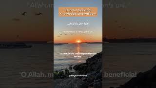 Dua for Seeking Knowledge and Wisdom - Illuminating Your Path