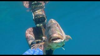 Spearfishing Croatia - "Destination Unknown 2" - Moments for life by Max