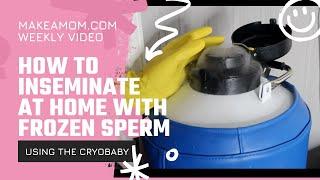 How to Inseminate at Home with Frozen Sperm and The Cryobaby