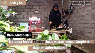 daily bumil belanja harian masak menu sederhana di dapur sederhana @Lidyawfamily