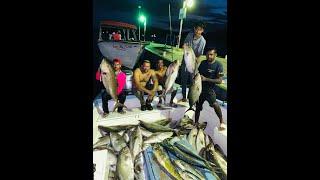 ALMACO MAYHEM ! 800 LBS PLUS OF FISH, FISHING AT THE RIGS WITH CAPTAIN DILLON, TRINIDAD, CARIBBEAN.